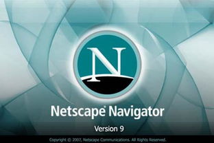 網(wǎng)景通信公司 互聯(lián)網(wǎng)信息服務領域的先驅(qū)